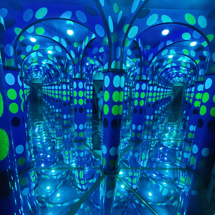 Amazing Mirror Maze MDMM07