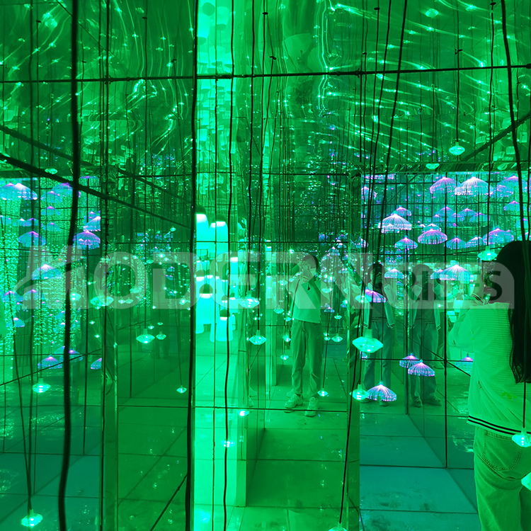 Amazing Magic Mirror Maze MDMM22